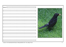 Amsel-eigene-Texte-3.pdf